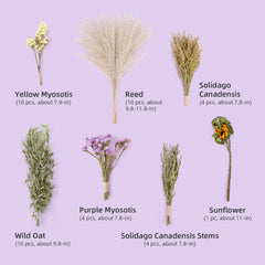 Niteangel艾特 倉鼠造景用品谷物花草墊料收獲之風谷穗零食磨牙