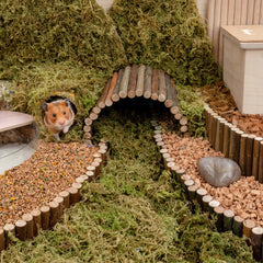 Niteangel艾特 橡木軟木粒倉鼠挖掘無塵墊料金絲熊籠子造景用品