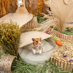 Niteangel艾特 倉鼠尿沙黃藍標EcoClean金絲熊浴沙除臭去油洗澡沙