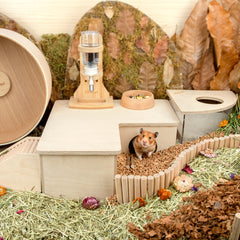 Niteangel艾特 倉鼠三居室二居室金絲熊多居侏儒兩居小寵房子木窩躲避屋