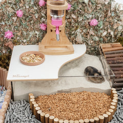 Niteangel艾特 倉鼠尿沙黃藍標EcoClean金絲熊浴沙除臭去油洗澡沙