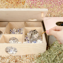 Niteangel艾特 倉鼠多居室侏儒小窩熊躲避屋迷宮多格木製玩具用品