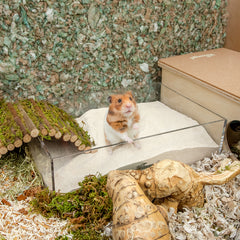 Niteangel艾特 倉鼠尿沙黃藍標EcoClean金絲熊浴沙除臭去油洗澡沙