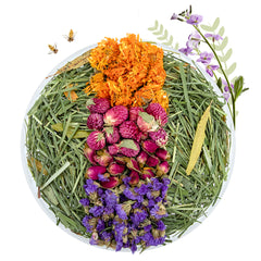 Niteangel艾特 天然花草倉鼠墊料提草椰粒除臭木屑籠子造景用品