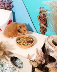 Niieangel艾特 金絲熊倉鼠糧天然糧