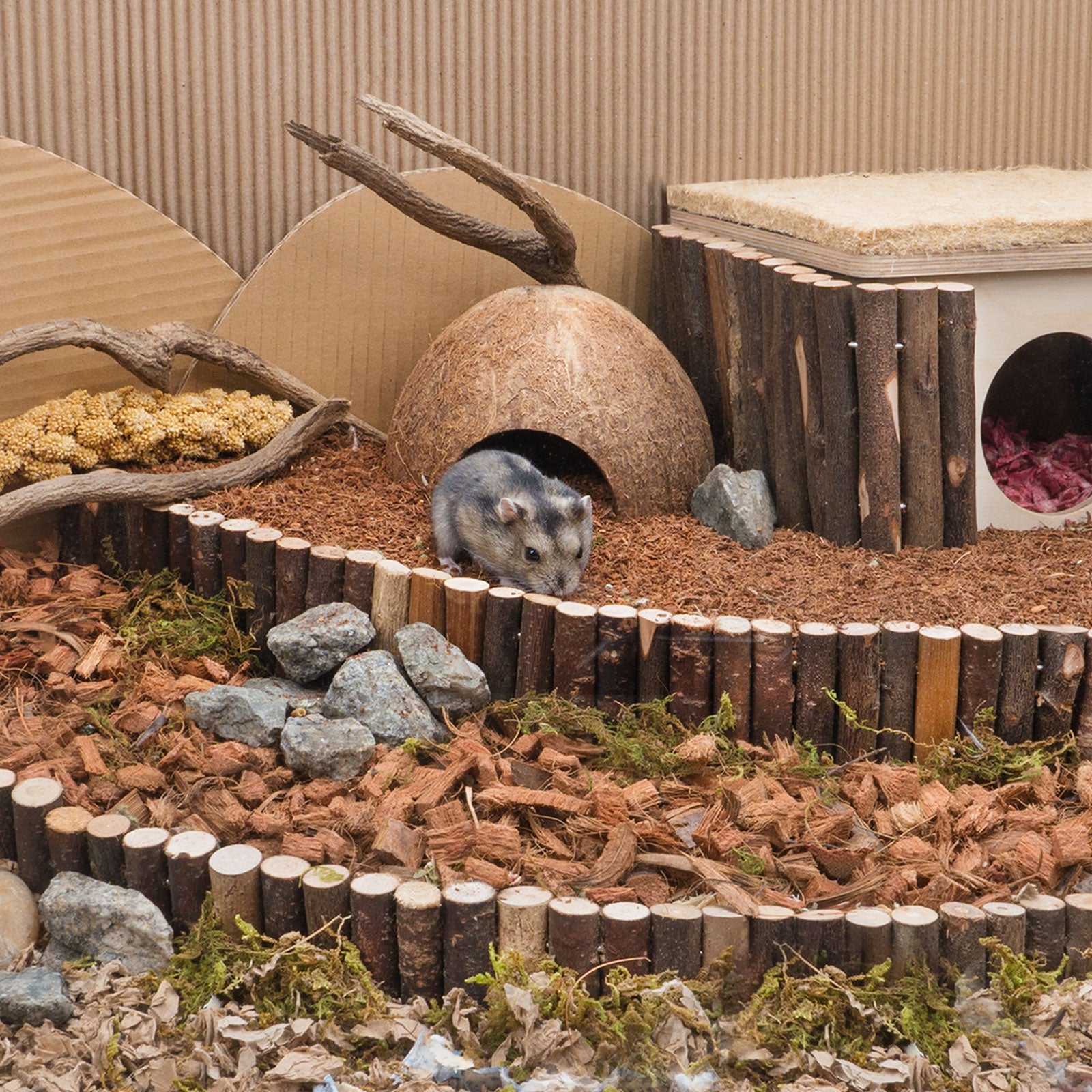 Niteangel艾特 幹椰土墊料倉鼠挖掘疏松透氣幹椰粒倉鼠籠造景用品