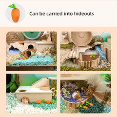 Niteangel艾特 倉鼠磨牙可食用老鼠胡蘿蔔造型籠子造景小玩具用品