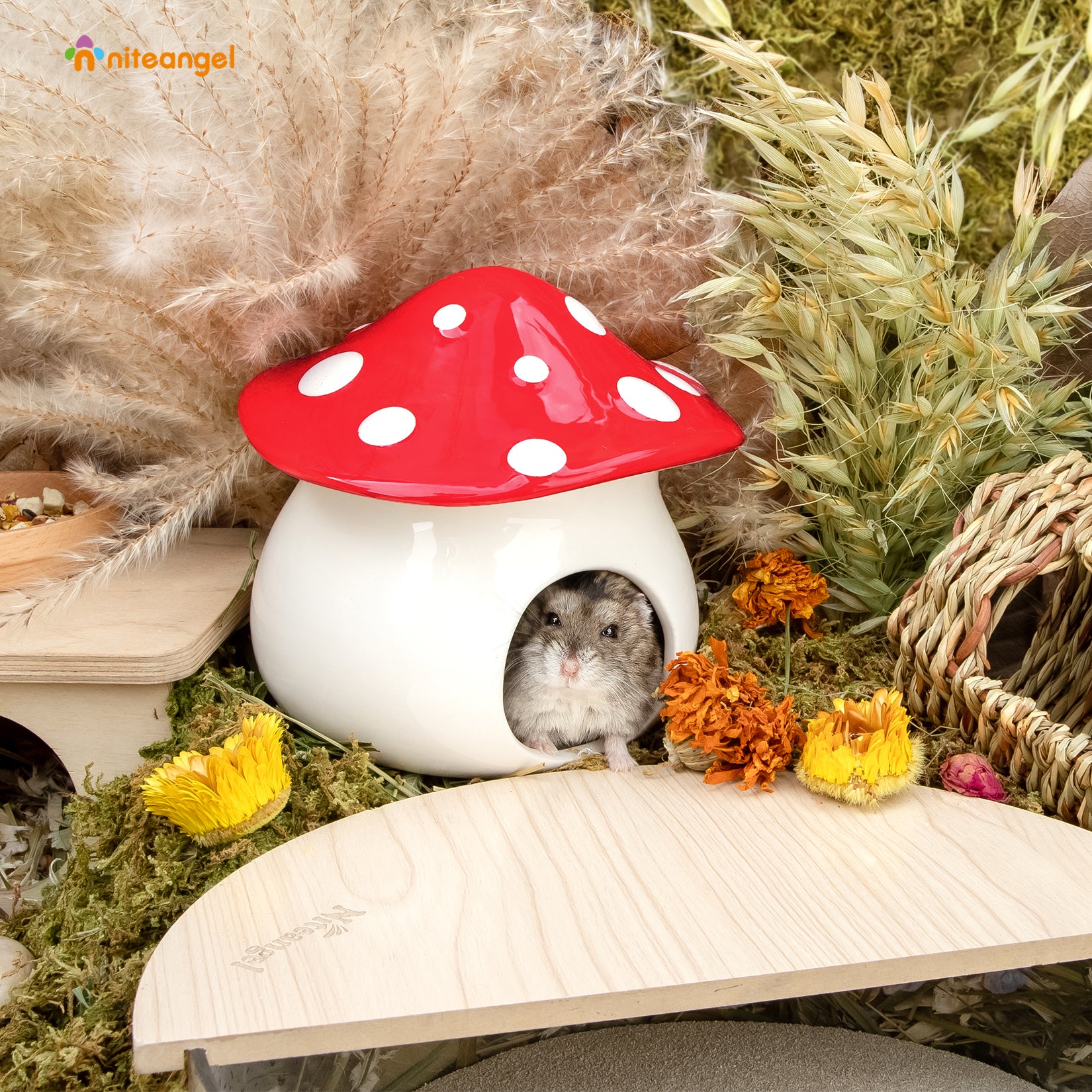 Niteangel艾特 倉鼠陶瓷蘑菇屋居室夏季降溫用品金絲熊陶瓷